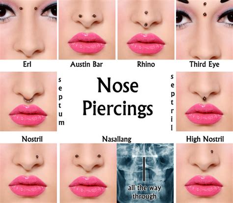 different type of nose piercing.